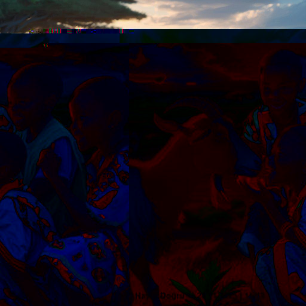 Adak Kurbanı Murgul